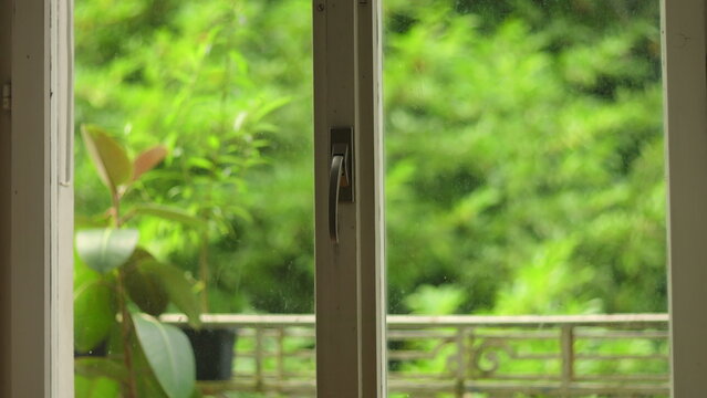 Close up of window with green garden view, natural light, domestic tranquility, peaceful home setting with foliage outside, quiet moment of calm indoors