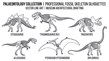 Dinosaur Skeletons Collection: Stegosaurus, T-Rex, Triceratops, Allosaurus, Pterodactyl, Diplodocus © Varel
