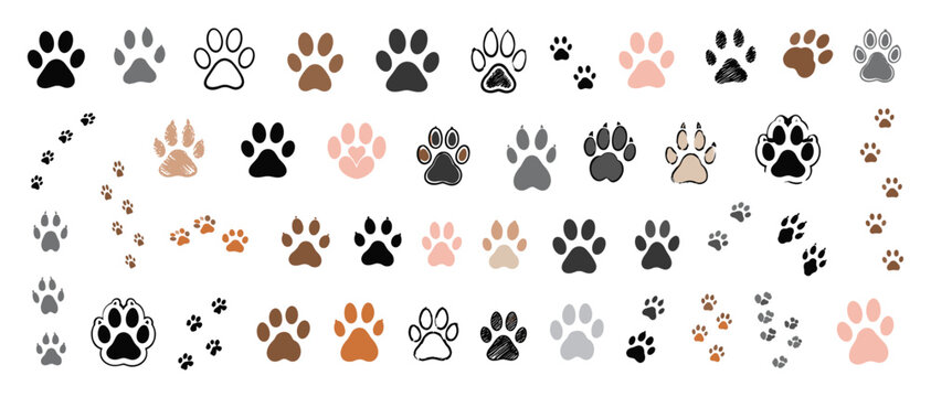 Hand drawn paw print collection with cat and dog footprints, pet footstep marks, animal pad patterns and cute flat vector icons isolated on white background
