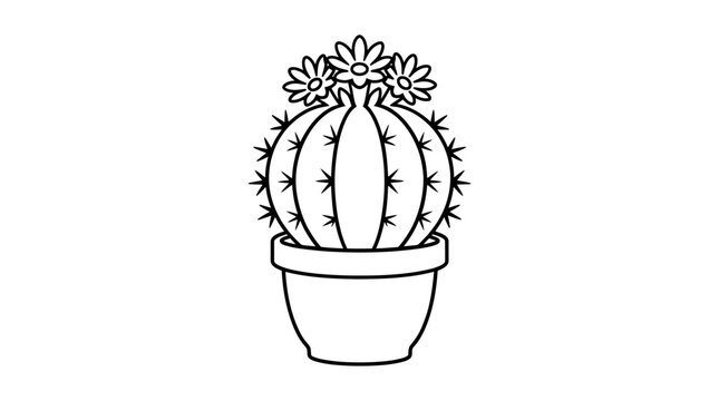 Prickly Pear Cactus in Pot.