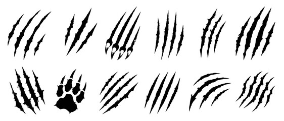 Naklejka na ściany i meble Dark beast claw slashes with ripped paper cuts, scary animal nail scratches, black monster tear marks for mystery horror Halloween vector design