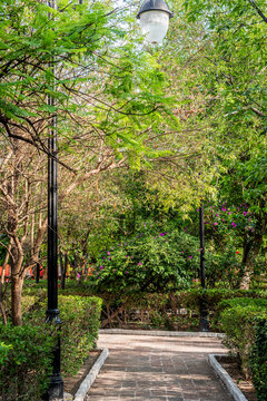 Park in Aguascalientes Mexico 