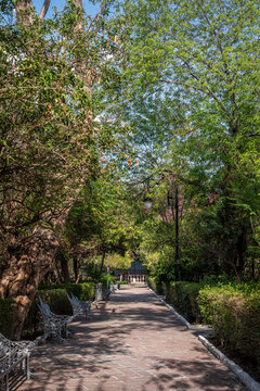 beautiful park in aguascalientes city 