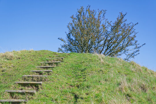 Stone steps leading up a grassy hill with a tree under a clear blue sky