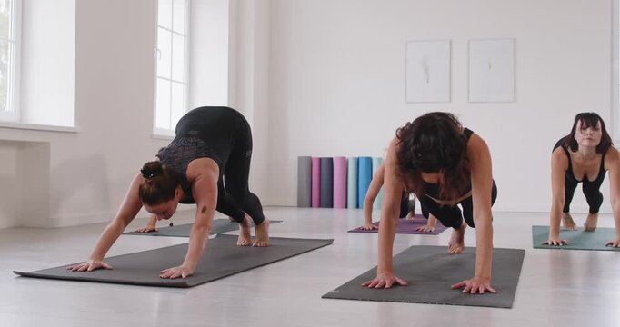 Yoga group class in studio with women. They move through downward dog on mats, building flexibility, balance, strength, and steady breathing in a bright studio. Calm balance and team wellness.