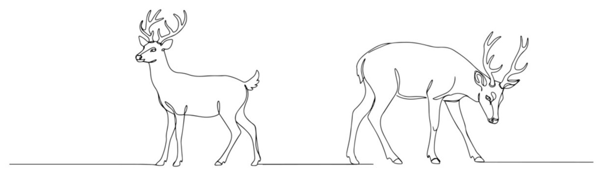 Deer with antlers continuous line art set, minimalist wildlife animal illustration, forest stag and buck nature concept vector sketch