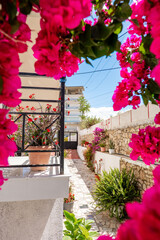 Fototapeta premium Bright Mediterranean apartment courtyard in Sarandë, Albania, featuring vibrant pink bougainvillea flowers, a traditional stone wall, outdoor seating area, and sunny residential atmosphere.