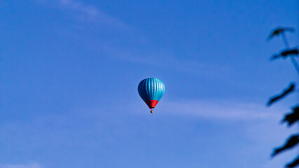 Fototapeta premium A colorful blue and red hot air balloon floating high in a clear blue sky with tree leaves in the foreground.