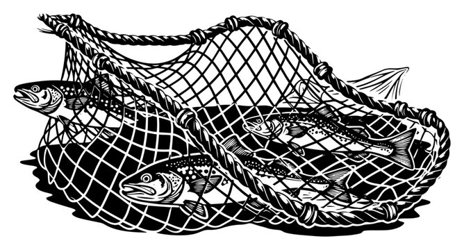 Fishing net with fish harvest linocut illustration, fresh catch in net silhouette woodcut art, sustainable fishing and marine nature vector