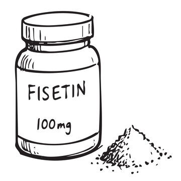 Bottle of Fisetin, a natural flavonoid longevity, antioxidant and neuroprotective supplement, vector icon doodle on transparent background