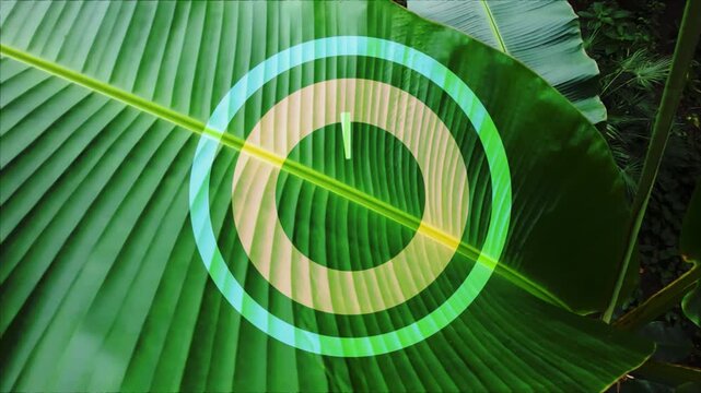 Nature ecology conservation technology concept