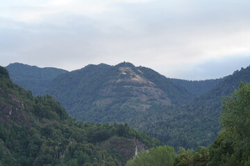 Fototapeta premium mountain with many trees and vegetation located in the river region of Chile
