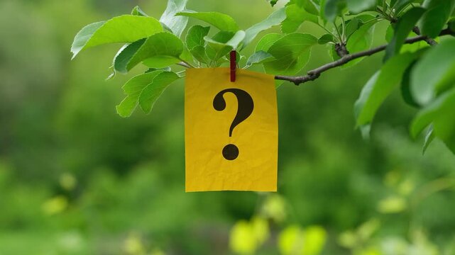 A yellow note with the Question mark on it clipped to a green tree branch. Close up.