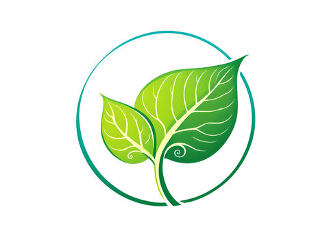 Nature Eco