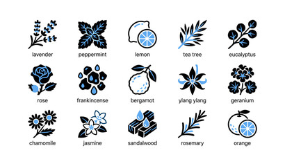 Essential oil plant icons showing herbs fruits and flowers grid