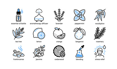Fototapeta premium Essential oil and aromatherapy icons arranged on white grid