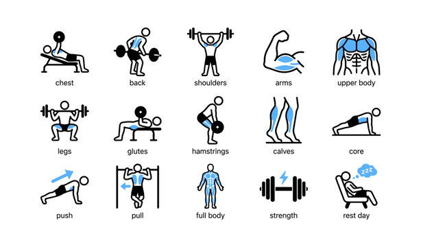 Fitness icons illustrating muscle groups and exercise types on white