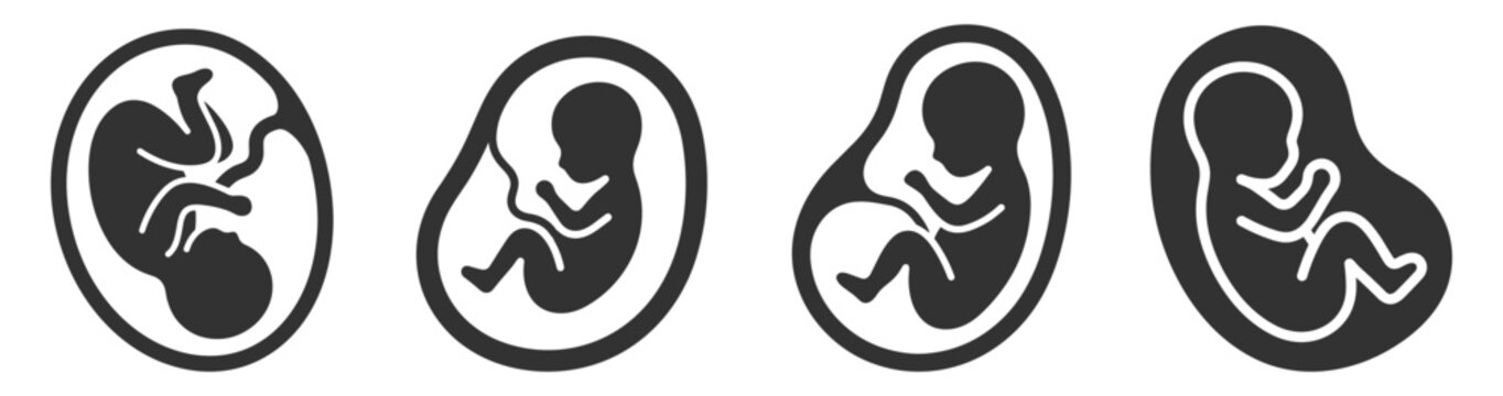 fetus icon set in various positions vector illustration on transparent background