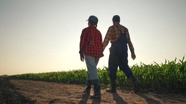 Farmer leads woman by hand on field path. Corn grows beside dirt track. Couple wearing boots walk at sunset. Farmer talks to woman. Peaceful moment walking field path holding hand near corn rows.