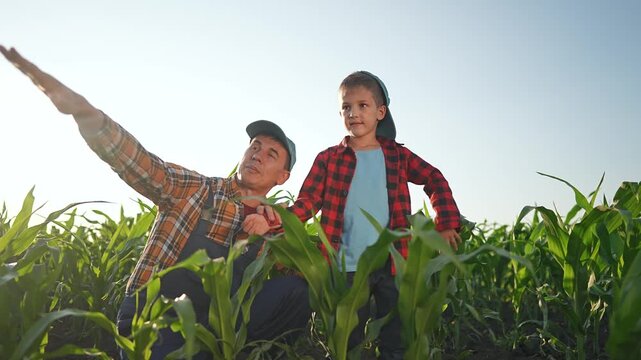 Father helps daughter learn how check leaf health on corn farm. Nature field learning builds farm knowledge. Daughter carefully examining leaf. Father uses corn field for teaching rural farm lessons.