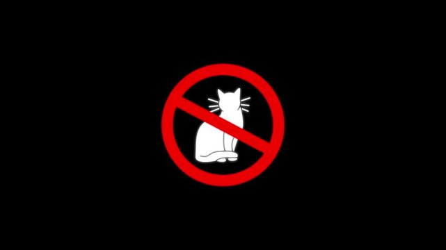 No Cats Allowed Symbol on Black Background cat prohibition