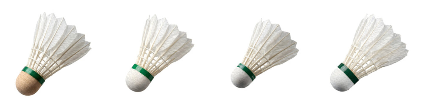 Set of four isolated badminton shuttlecocks with white feathers and green tape on the cork, professional sports equipment for competitive games and athletic training concepts.