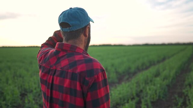 Farmer man holds cap looking across green field. Man stands on farmland for crop inspection. Agriculture landscape with farmer doing careful field check. Nature and farming inspection in countryside.