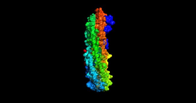 Hemolysin binding component from Bacillus cereus, bacterial food poisoning toxin, 3D molecule spinning, 4K