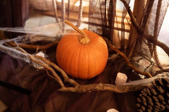 Warm Halloween pumpkin still life with cobweb spider pine cone and candle glow creating cozy spooky season home decor for autumn celebration festive background fall holiday mood and seasonal interior
