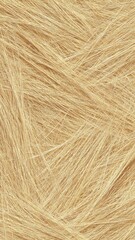 Fototapeta premium Close-up of Blonde Hair Texture