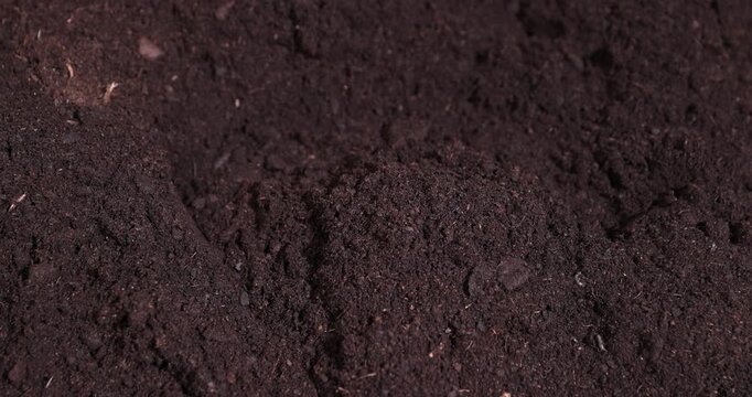 fertile soil mixed with various ingredients for growing seedlings and indoor plants, minerals and vitamins, humus and peat
