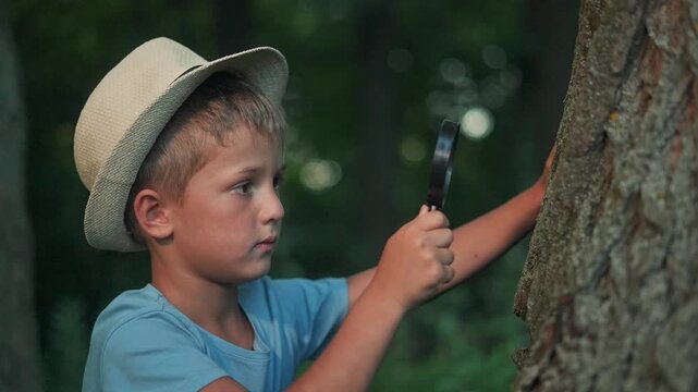 Explorer child investigates tree using magnifier. Magnifier shows nature elements. Child acts observer. Forest becomes research space. Magnifier supports explorer during nature investigation observer.