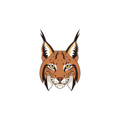 Fototapeta premium Vibrant illustration of a lynx head.