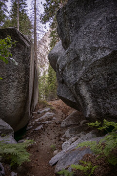 Large Boulder Flank Bubs Creek Trail In Kings Canyon