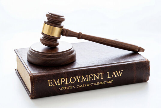 Wooden gavel resting on a leather employment law book