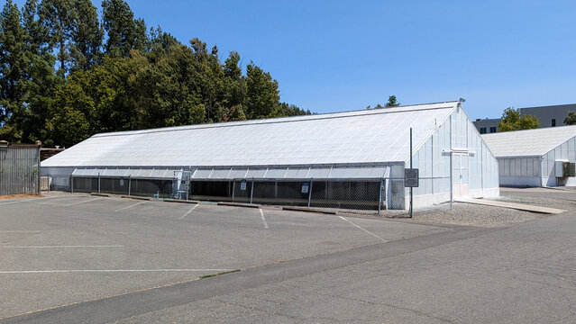 Large white greenhouse building structure