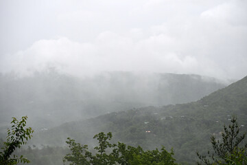 Fototapeta premium Rain in the Smoky Mountains