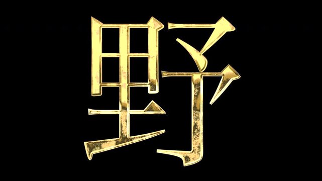 A golden kanji character "野". Its meaning is "field". It reflects light causing the pattern to change. Supports alpha channels.