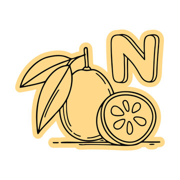Nagami Kumquat with Letter N Sticker Doodle Illustration