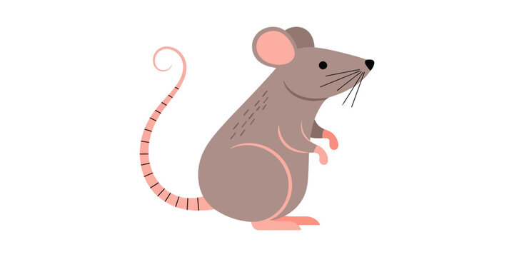 Cute cartoon mouse illustration standing up, depicting a small gray rodent with pink features and a long tail