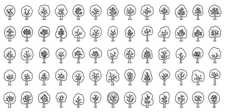 Collection of diverse tree illustrations in a simple line art style