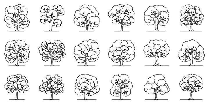 Diverse Collection of Outline Tree Vector Illustrations Set of Various Plant Silhouettes and Shapes