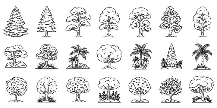 Capturing the essence of diverse plant life, a collection of minimal line art trees for nature-inspired design projects