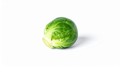 Fototapeta premium Fresh Brussels Sprout