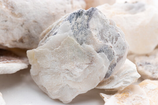 Chinese Shandong Rizhao Produced Chinese Medicinal Decoction Piece Oyster Shell (Concha Ostreae)