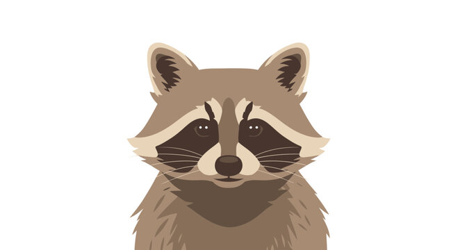 Cute Raccoon Portrait Illustration - Adorable Wild Animal Face