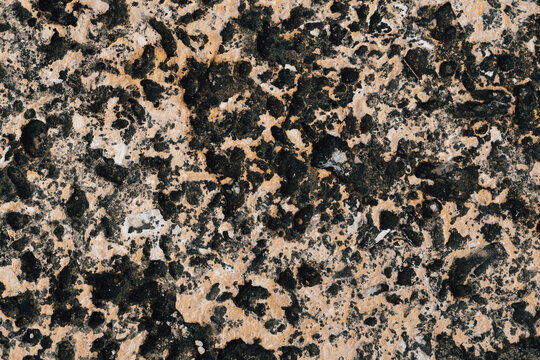 Textura