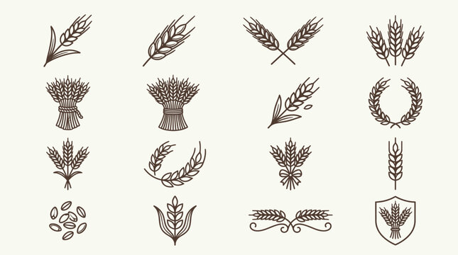 Set of hand drawn wheat ear icons and design elements.