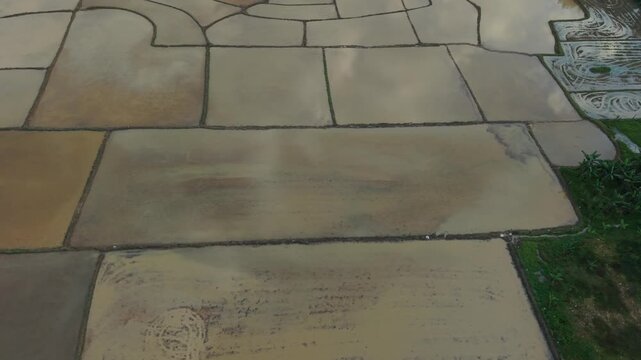 Closeup Of Mossy Tile Surface. Stone Inscription Plaque With Mossy Border At Entrance. Weathered Tile Pathway Inscription With Shadow And Textured Surface Near Site Entrance