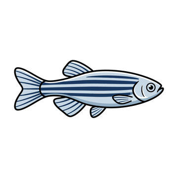 Zebra Danio Fish Illustration